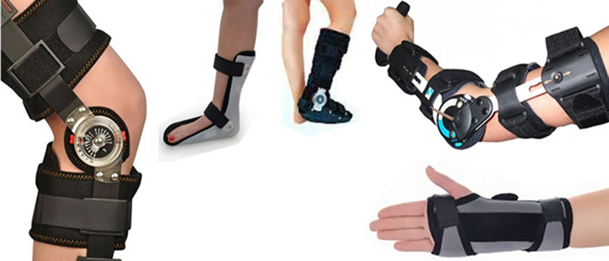 PalmercarpenterA